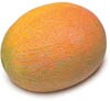 persian melon